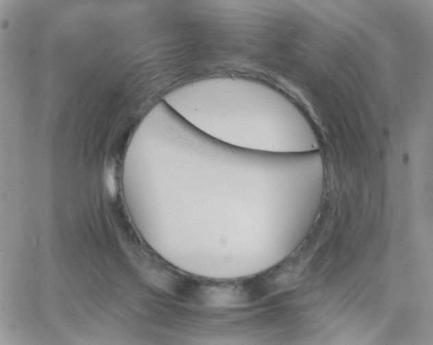 X0000066080069200603171041