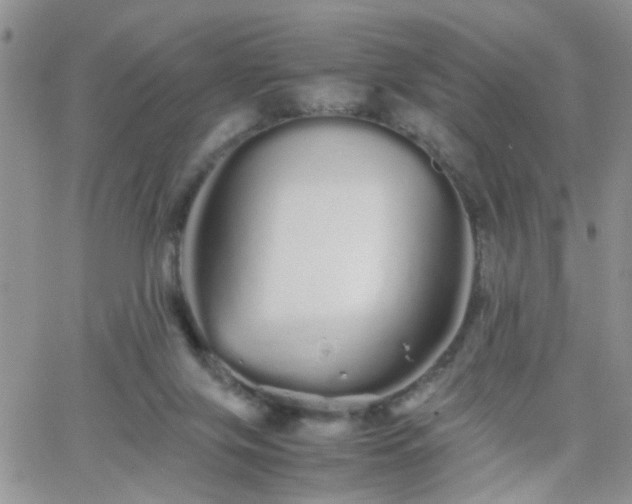 X0000066080071200603171041