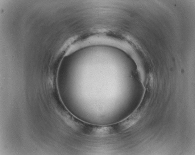 X0000066080072200603171041