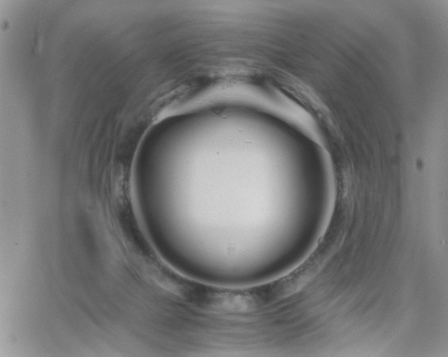 X0000066080073200603171041