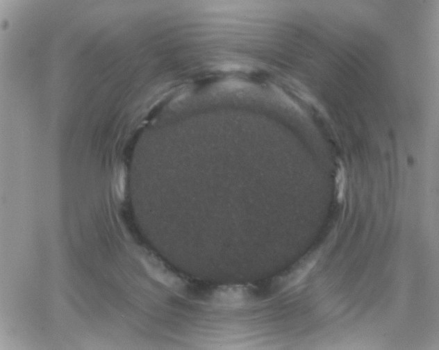 X0000066080076200603171041