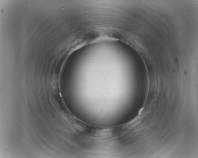 X0000066080078200603171041