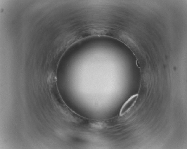 X0000066080079200603171041