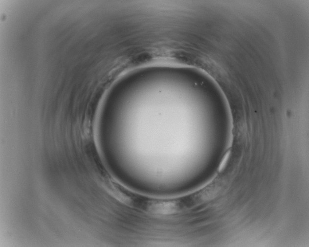 X0000066080081200603171041