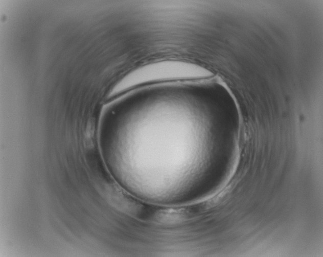 X0000066080082200603171041