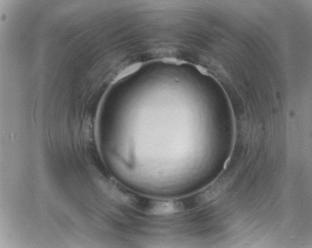 X0000066080083200603171041