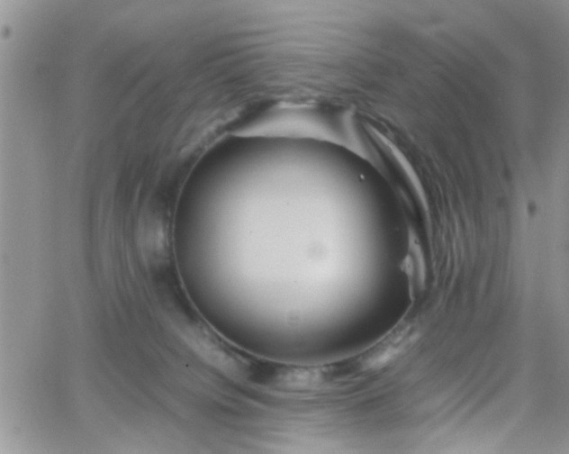 X0000066080084200603171041