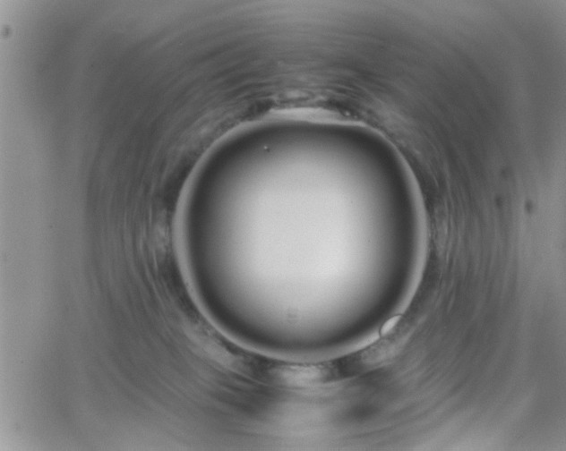 X0000066080085200603171041