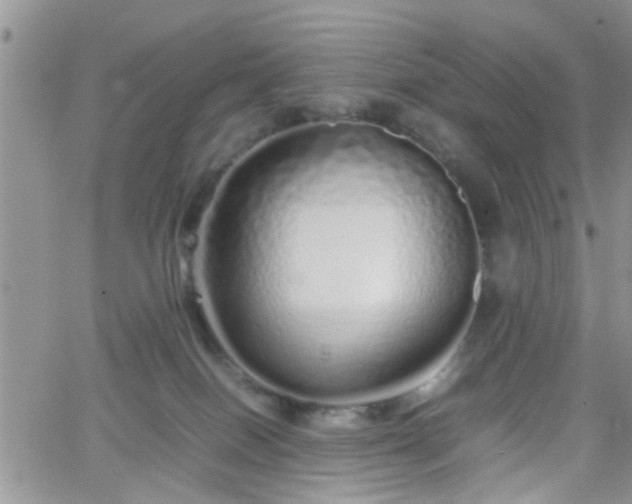 X0000066080086200603171041