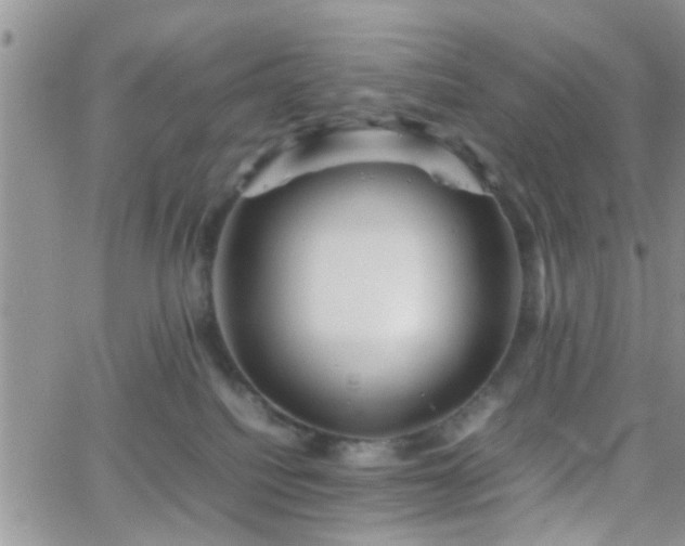 X0000066080088200603171041