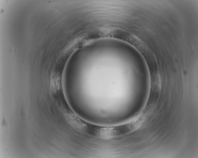 X0000066080090200603171041