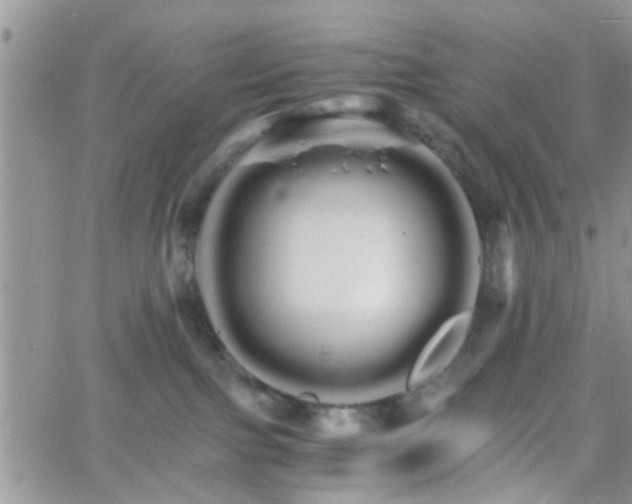 X0000066080091200603171041