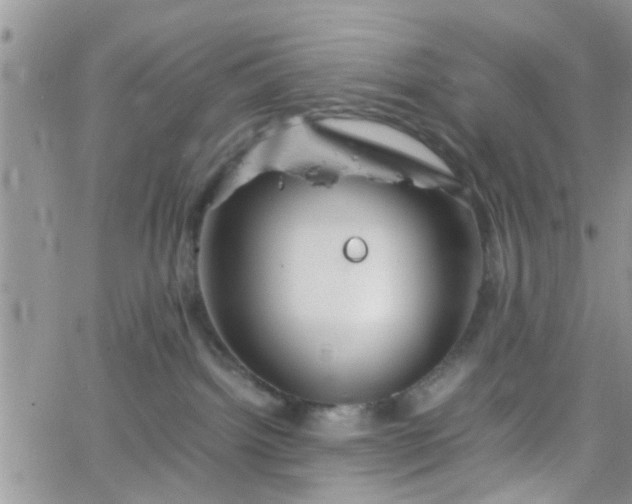 X0000066080092200603171041