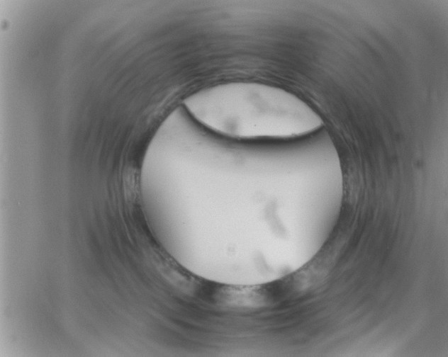 X0000066080093200603171041