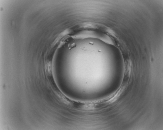 X0000066080094200603171041