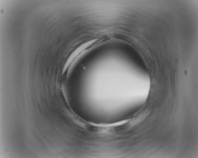 X0000066080096200603171041