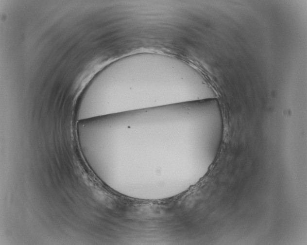 X0000066080098200603171040