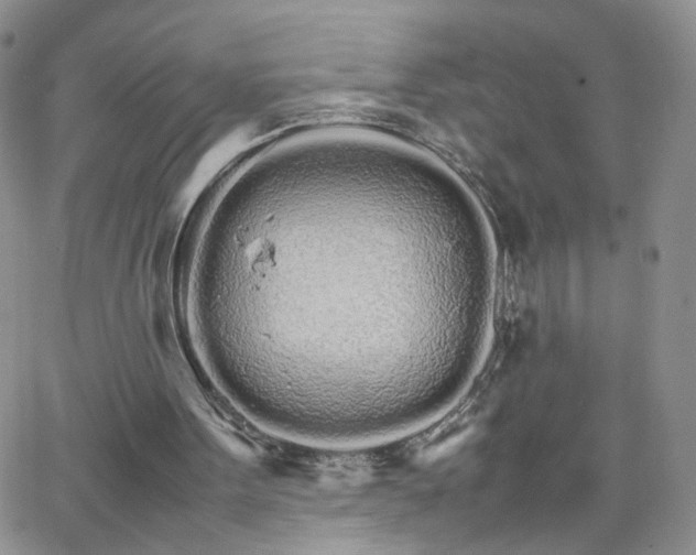 X0000066080099200603171040