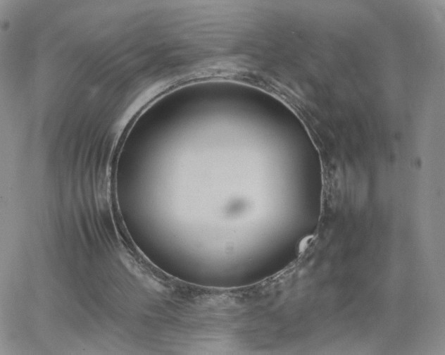 X0000066080100200603171040