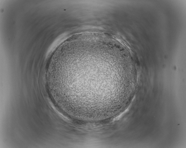 X0000066080101200603171040