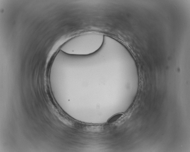 X0000066080102200603171040