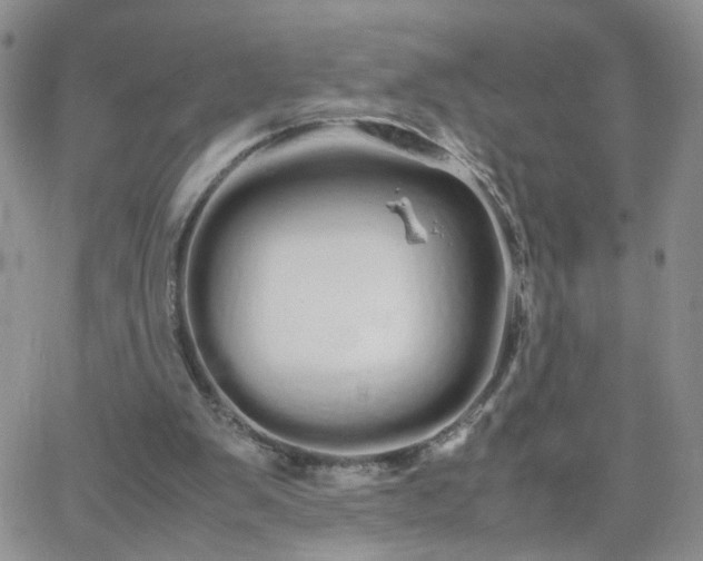 X0000066080103200603171040