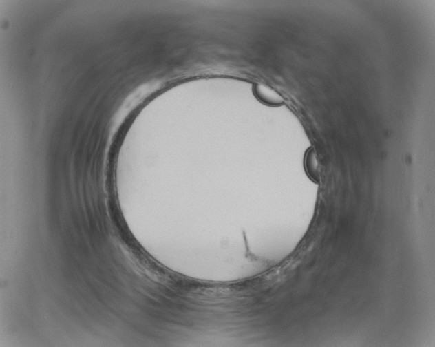 X0000066080104200603171040