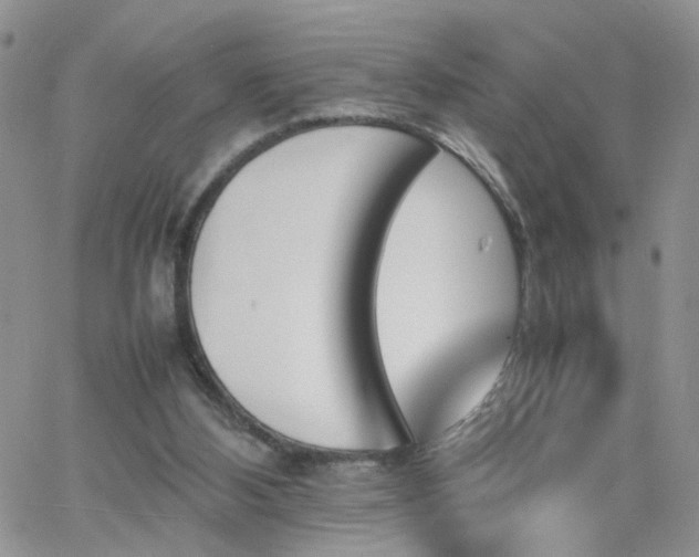 X0000066080108200603171040