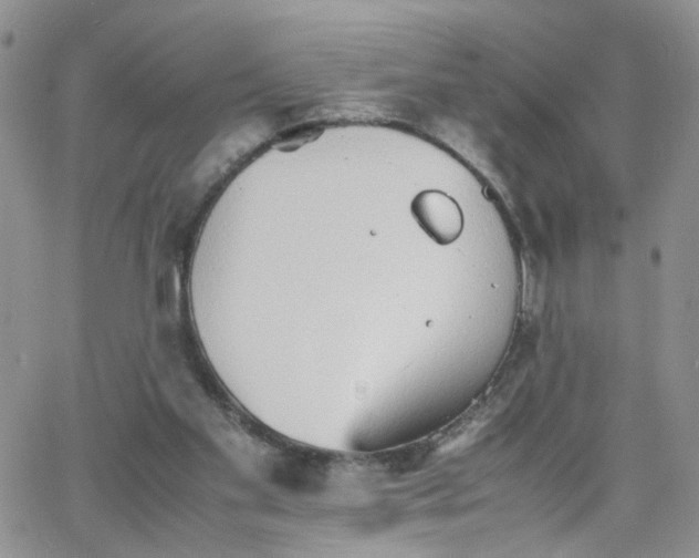 X0000066080109200603171040