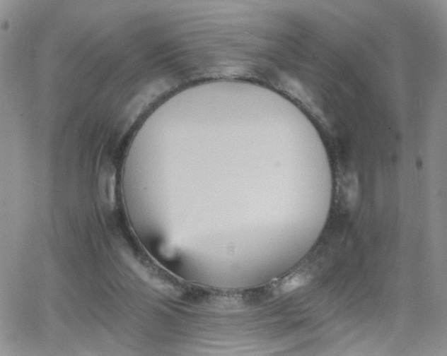 X0000066080110200603171040