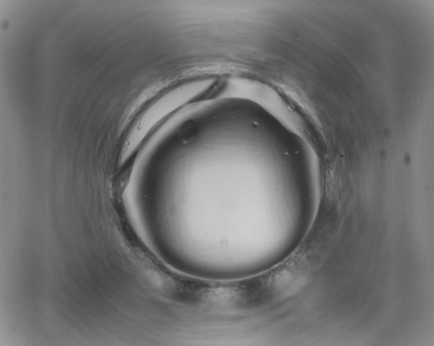 X0000066080111200603171040