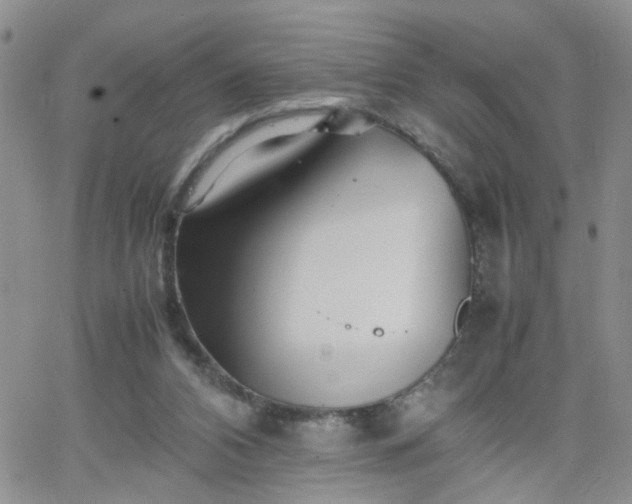 X0000066080112200603171040