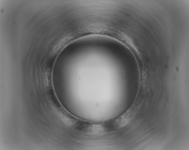 X0000066080114200603171040