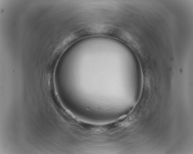 X0000066080115200603171040