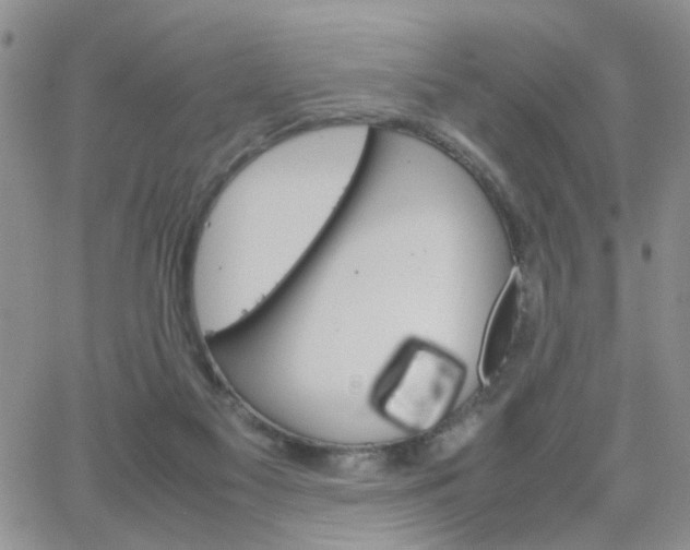 X0000066080117200603171040