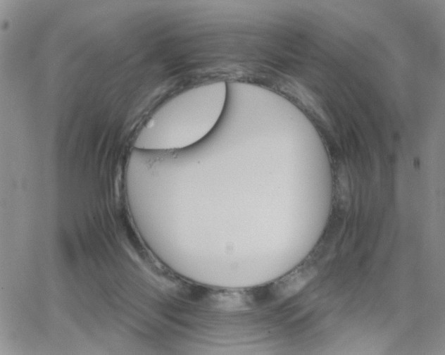 X0000066080118200603171040