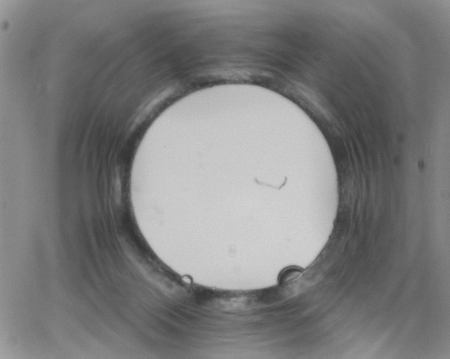 X0000066080120200603171040