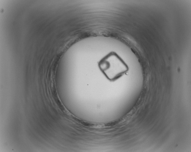 X0000066080121200603171040