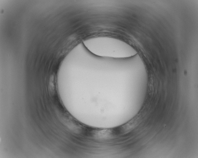 X0000066080122200603171040