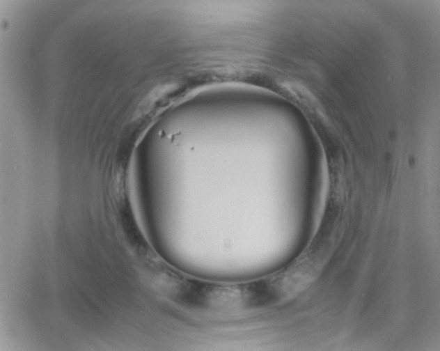 X0000066080123200603171040