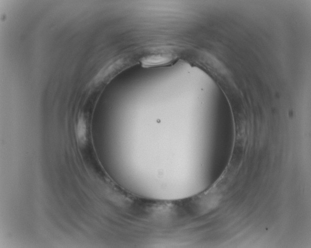 X0000066080124200603171040