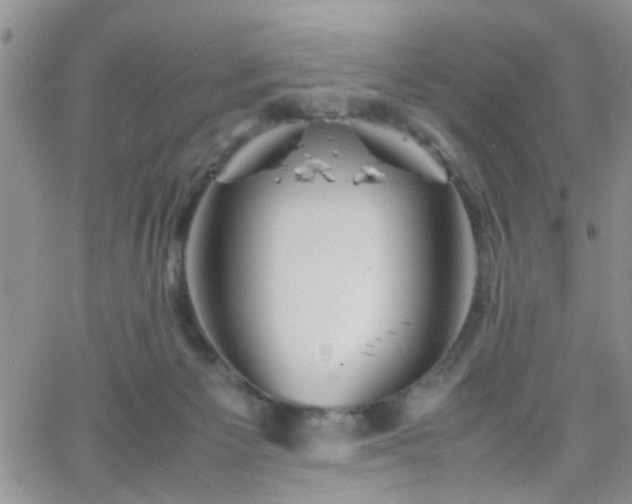 X0000066080125200603171040