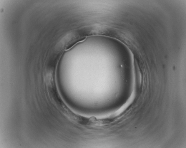 X0000066080127200603171040