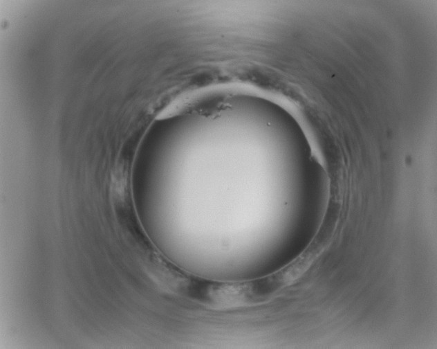 X0000066080129200603171040