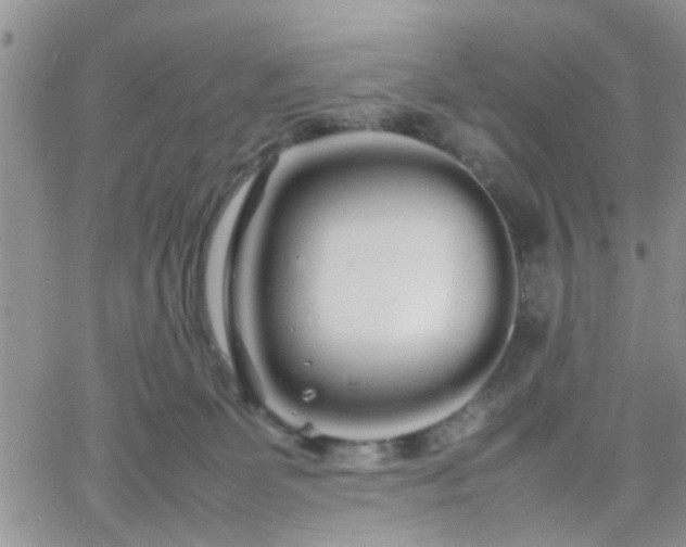 X0000066080131200603171040