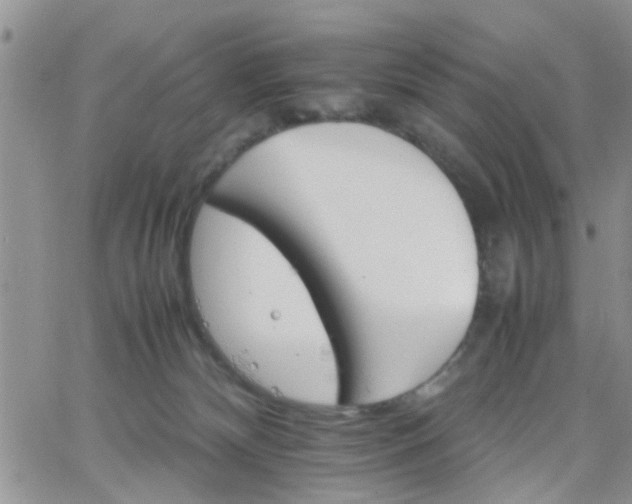 X0000066080132200603171040