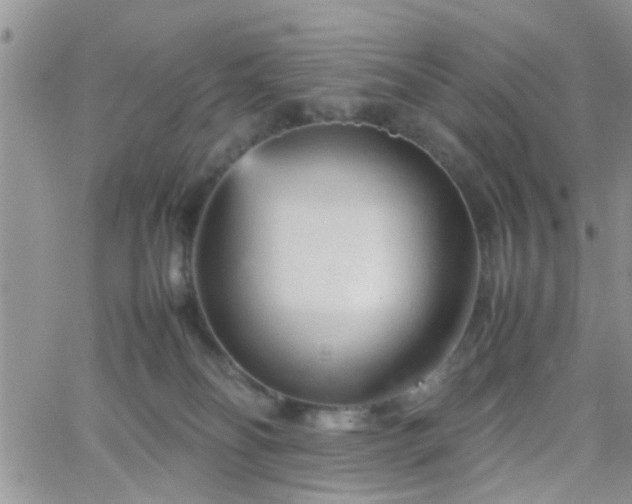 X0000066080134200603171040