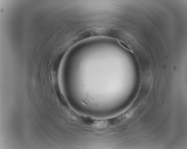 X0000066080135200603171040