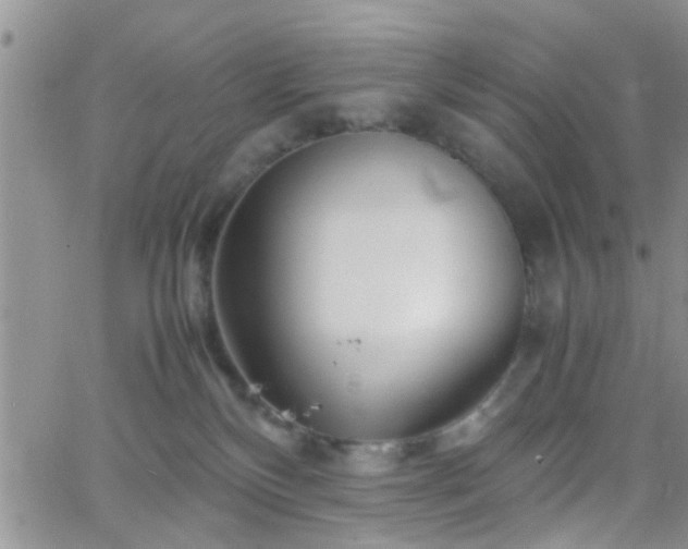 X0000066080136200603171040