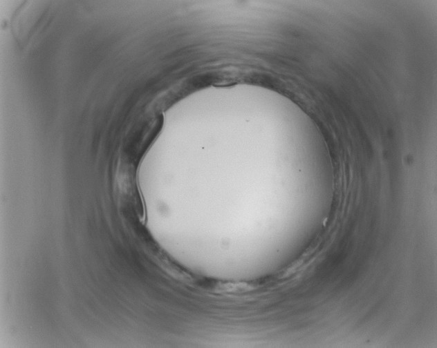 X0000066080137200603171040